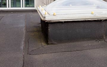 disadvantages of East Saltoun flat roofs