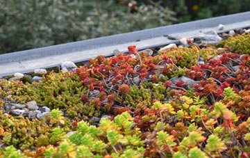 the cost of East Saltoun green roof installation