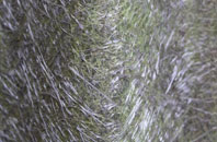 East Saltoun fibreglass roof work